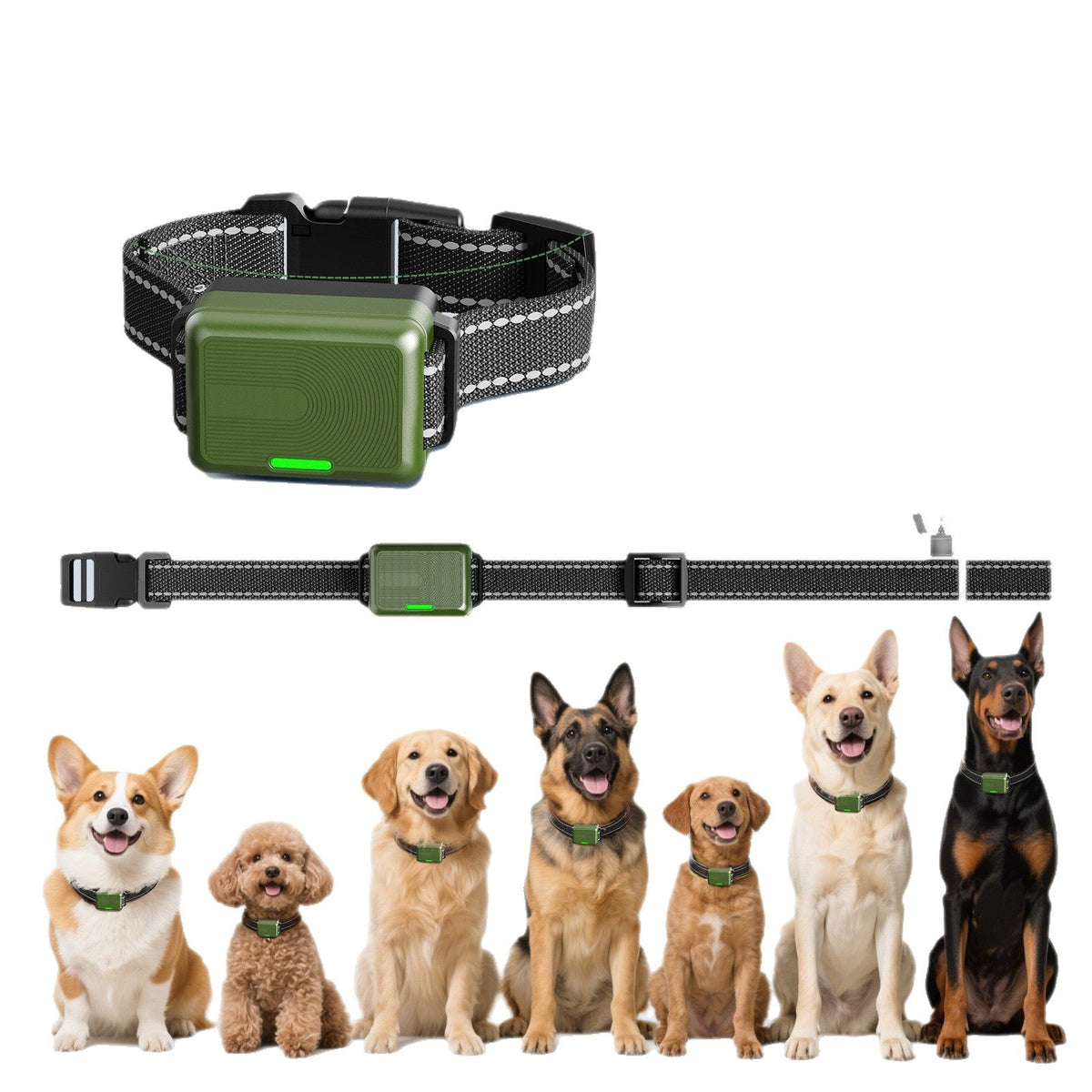 Shock Collars