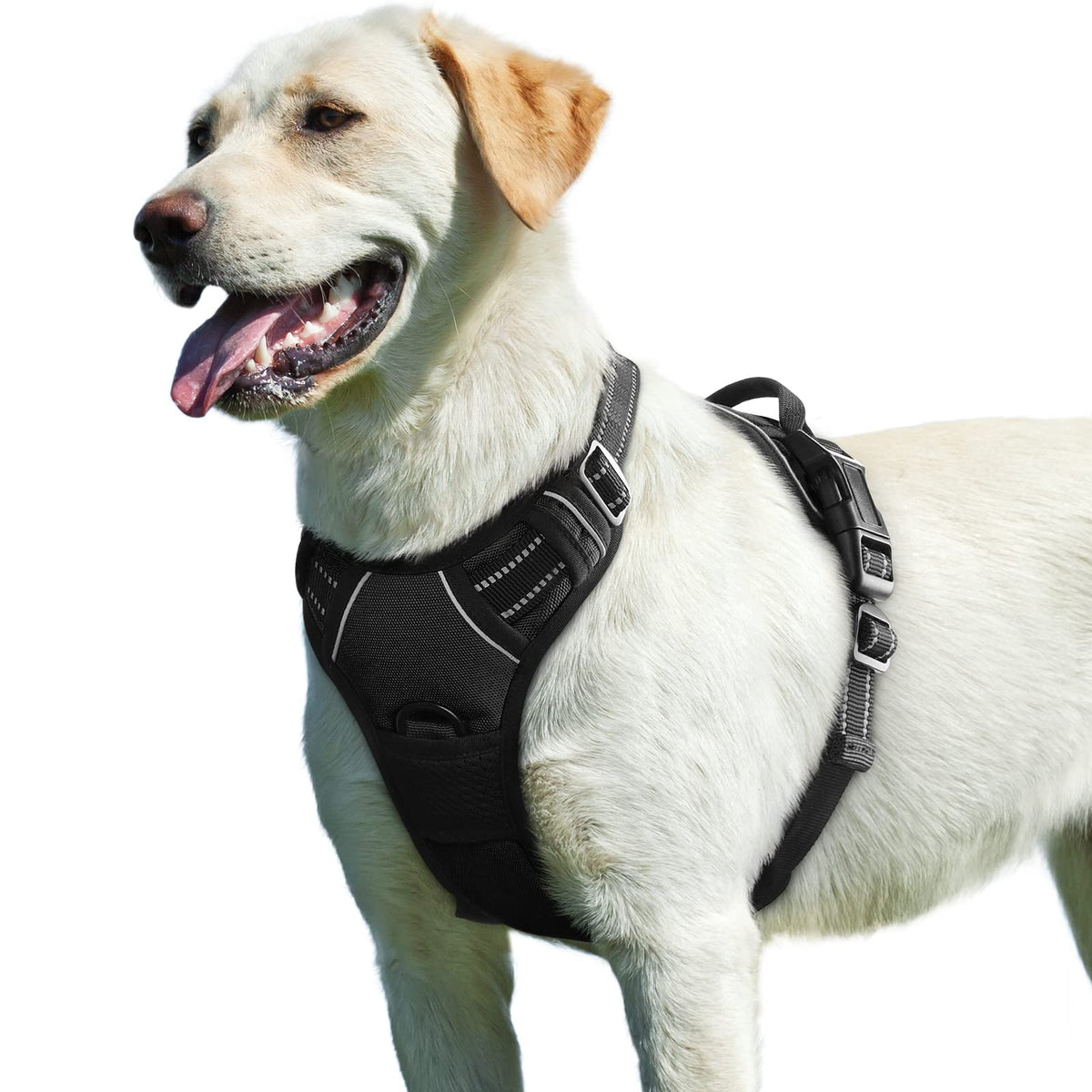 No Pull Harness