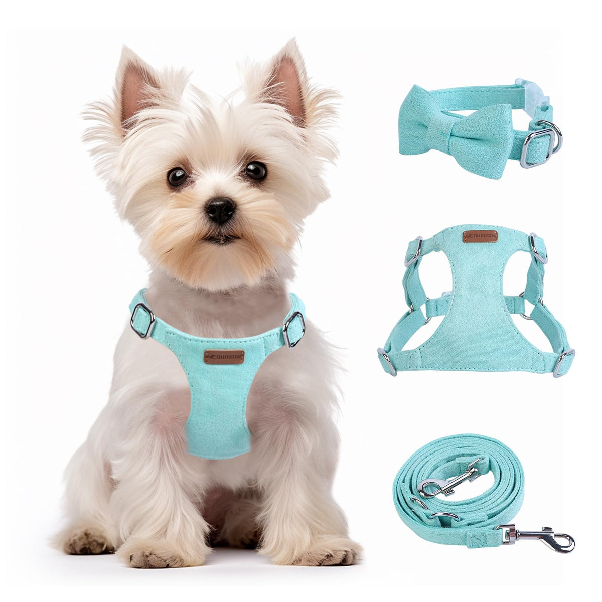 Collar, Harness, Leash Combo