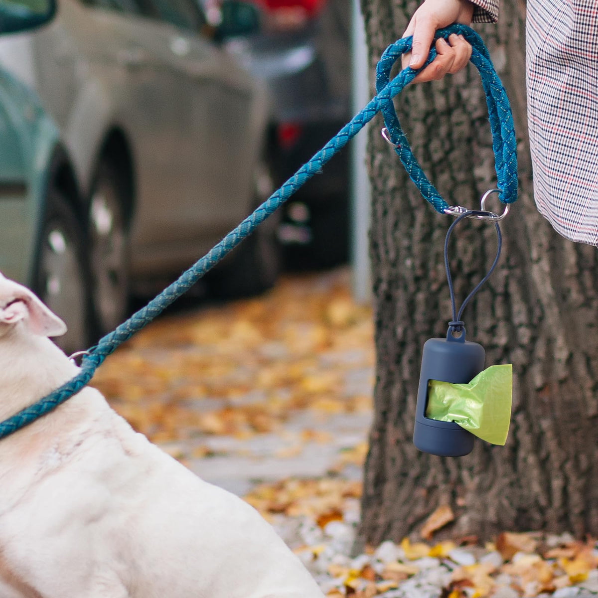 Pet Waste Bags and Dispenser for Leash
