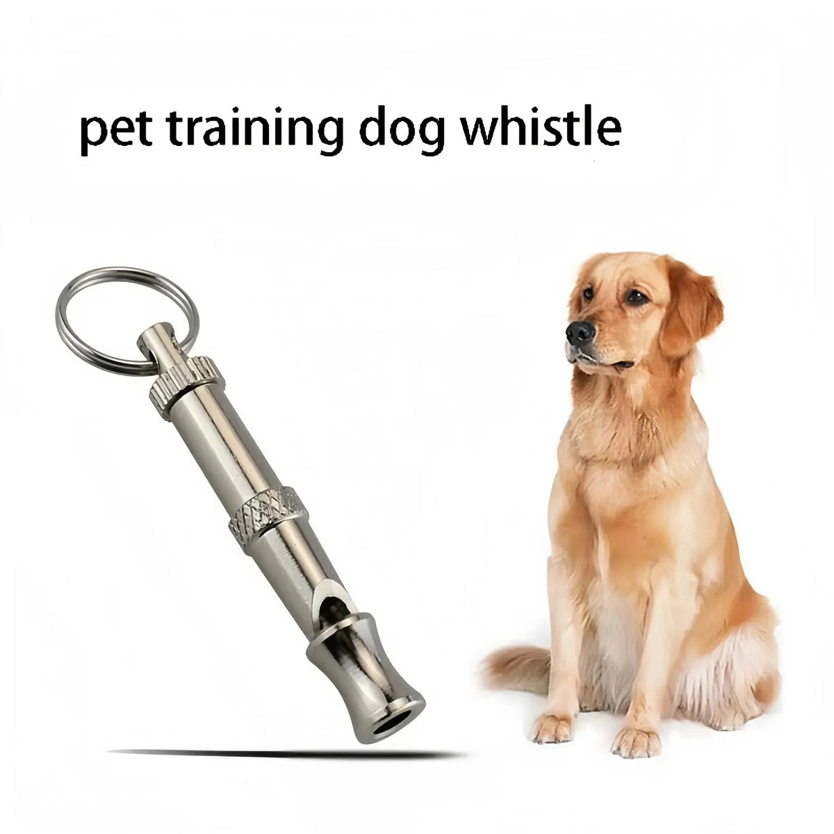 Whistles