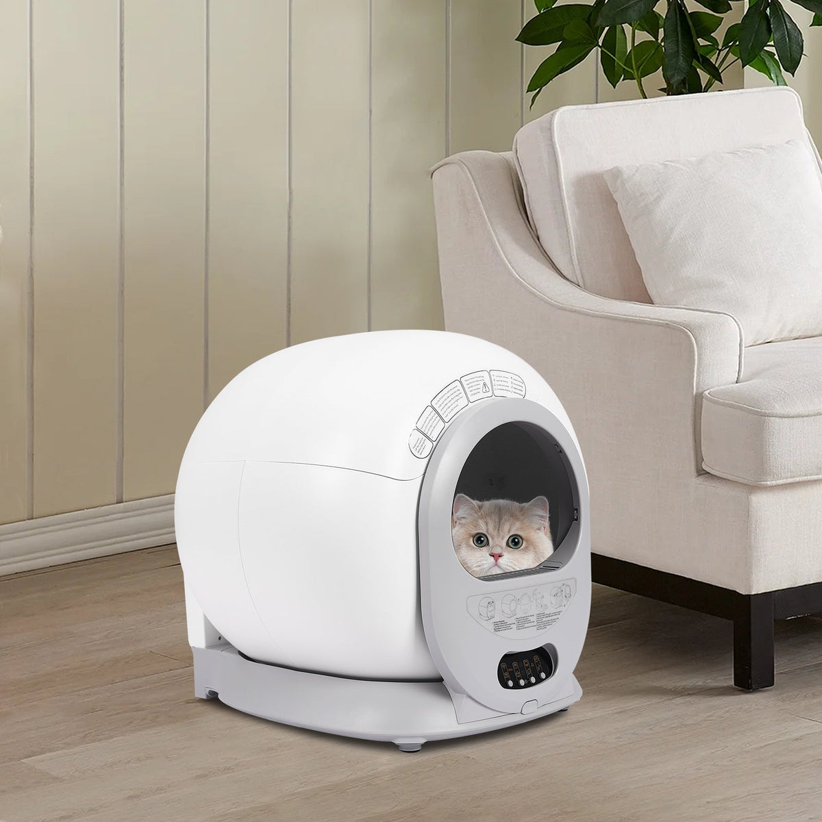 Litter Boxes