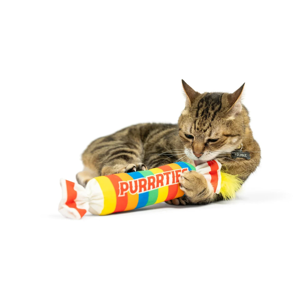 Catnip Toys