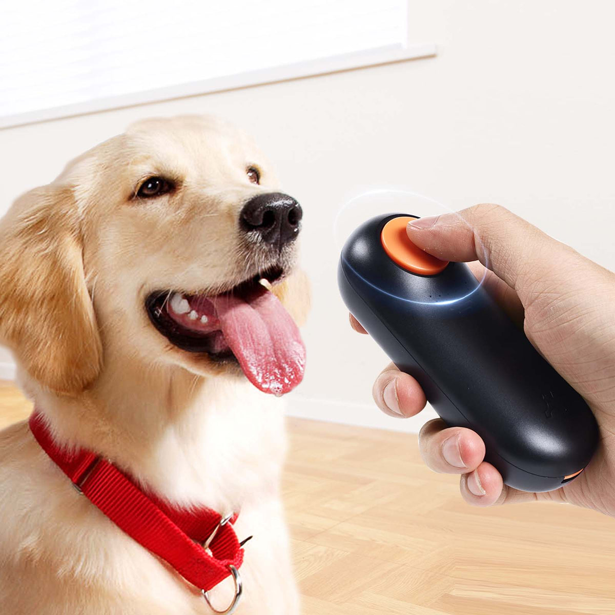 Clickers