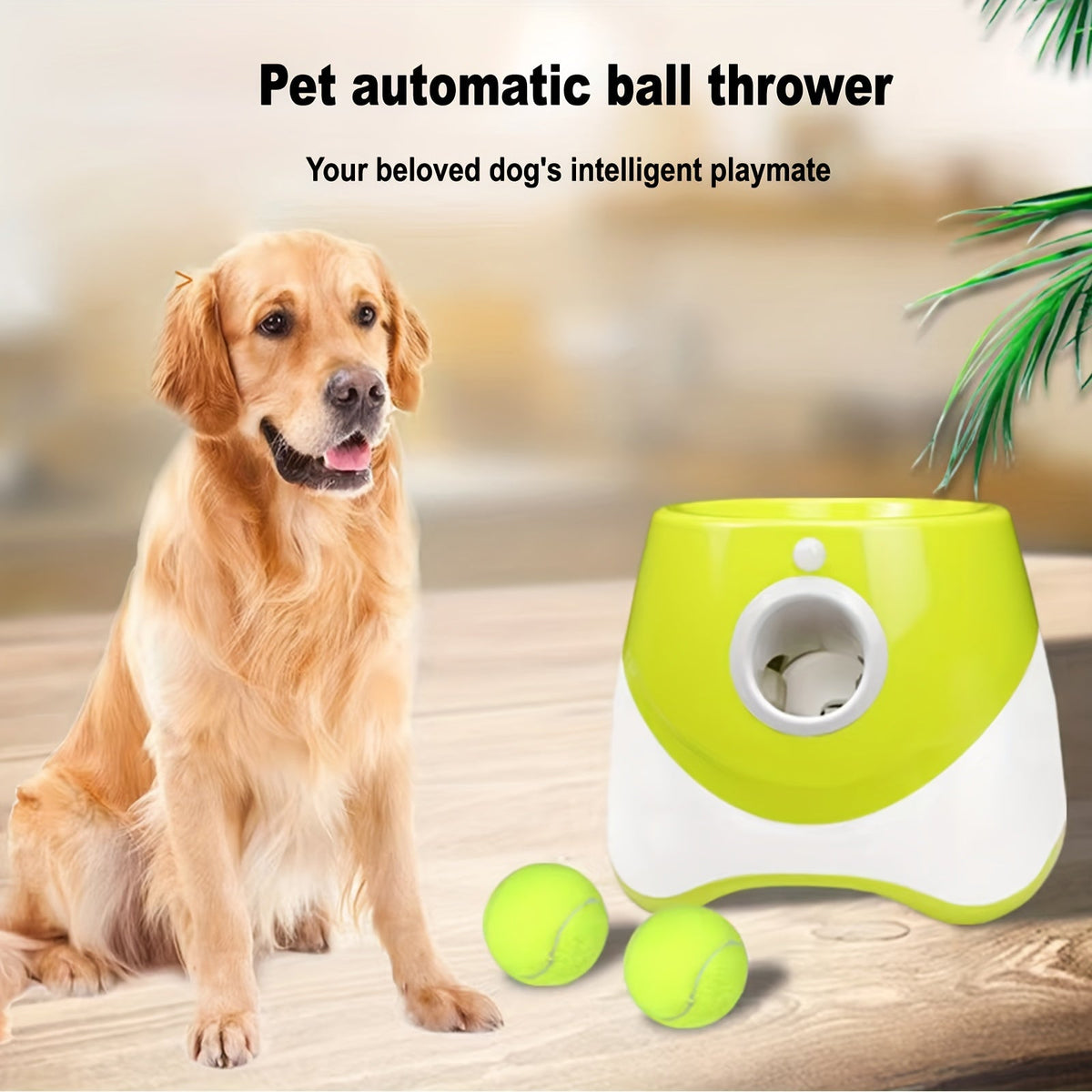 Automatic Ball Launcher