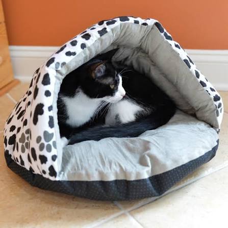 Calming Cave Beds
