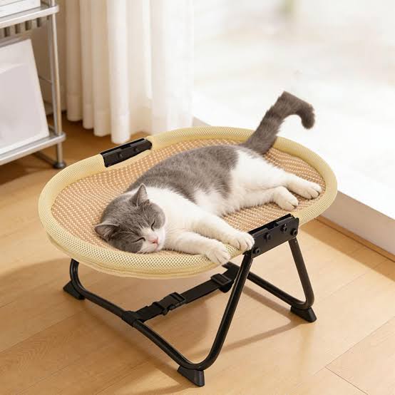 Elevated Beds